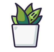Succulent