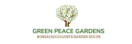 Greenpeace Gardens Bonsai| Succulents| Niagara
